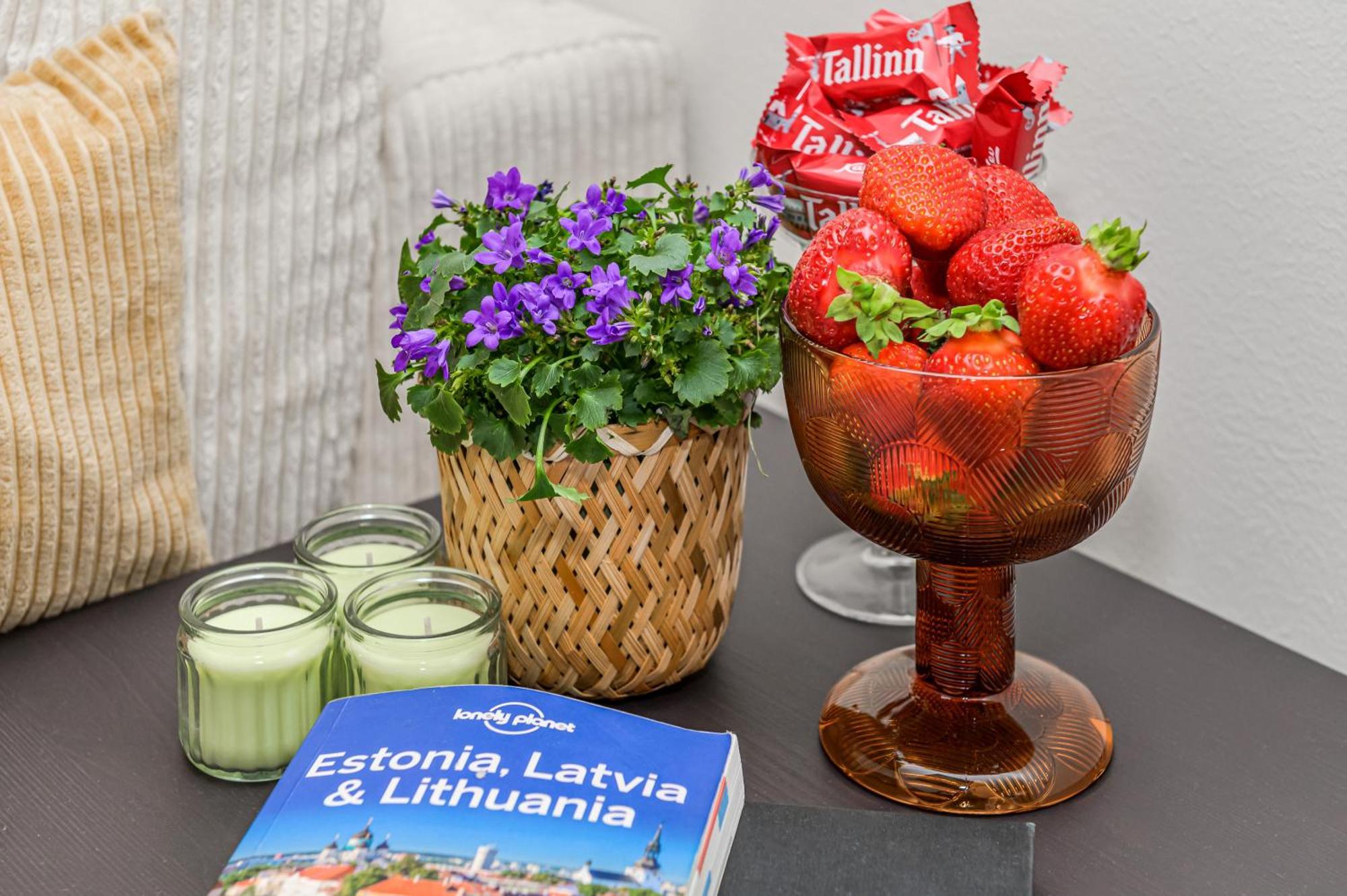 Tallinn Old Town Romantic Apartment Esterno foto
